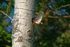 2012-05-17-17-11_08_DxO-web