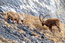 _110211-1433_01_DxO-web